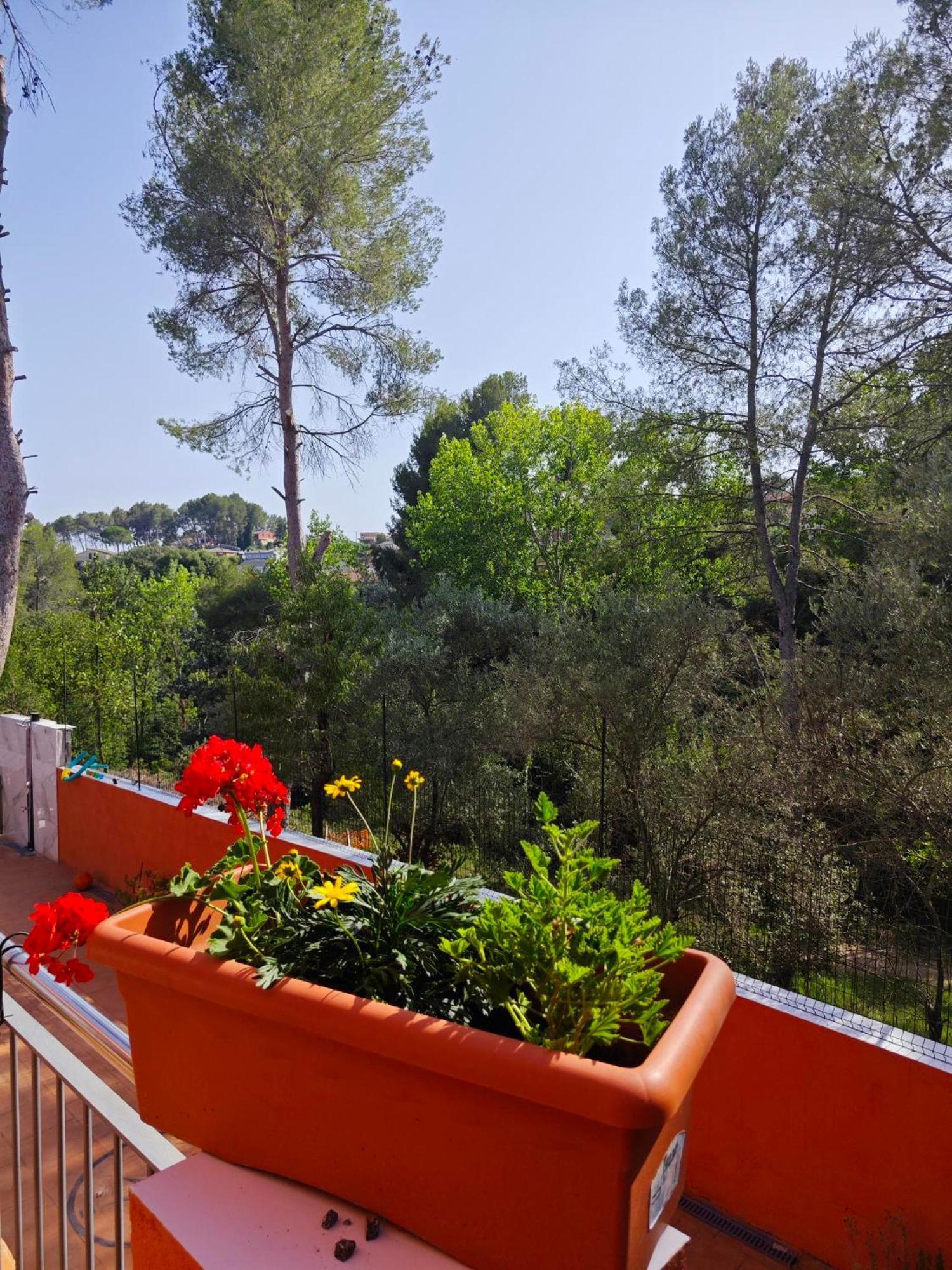 Вілла Relax House Barcelone Сан-Естеве-Сесрувірес Екстер'єр фото